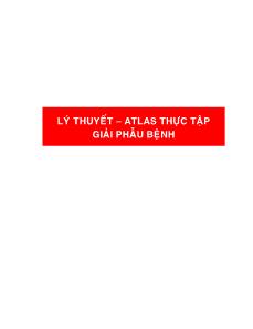 Lý thuyết – Atlas thực tập giải phẫu bệnh