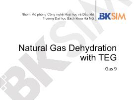 Mô phỏng công nghệ hóa học và dầu khí - Natural gas dehydration with teg