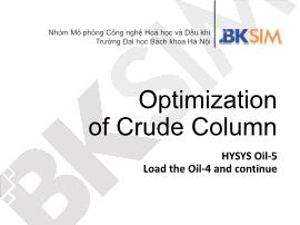Mô phỏng công nghệ hóa học và dầu khí -  Optimization of Crude Column