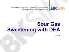 Mô phỏng công nghệ hóa học và dầu khí - Sour gas sweetening with dea