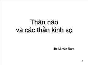 Thân não và các thần kinh sọ