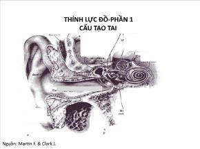 Thính lực đồ - Phần 1: cấu tạo tai