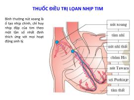 Thuốc điều trị loạn nhịp tim