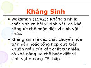 Tìm hiểu về Kháng Sinh