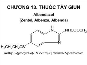 Y khoa, dược - Chương 13: Thuốc tẩy giun