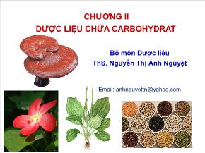 Y khoa, dược - Dược liệu chứa carbohydrat