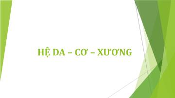 Y khoa, dược - Hệ da – Cơ – Xương