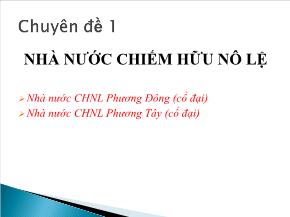 Chuyên đề Nhà nước chiếm hữu nô lệ