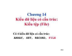 Cơ sở dữ liệu - Chương 14: Kiểu dữ liệu có cấu trúc: Kiểu tệp (File)