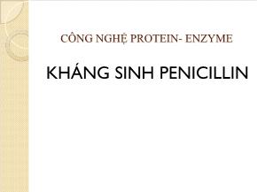 Công nghệ protein - Enzyme - Kháng sinh penicillin