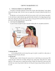 Giải phẫu sinh lý trẻ em - Chương VII: Hệ hô hấp (4 tiết)
