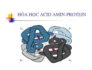 Hóa hoc acid aminprotein