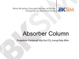 Mô phỏng công nghệ hóa học và dầu khí - Absorber column