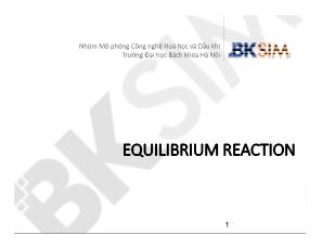 Mô phỏng công nghệ hóa học và dầu khí - Equilibrium reaction
