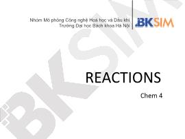 Mô phỏng công nghệ hóa học và dầu khí - Reactions chem 4