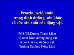 Protein, Acid amin trong dinh dưỡng, sức khỏe và sức sản xuất của động vật