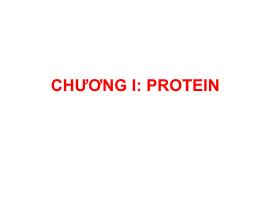 Sinh học - Chương I: Protein