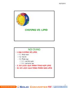 Sinh học - Chương VII: Lipid