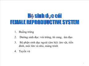 Sinh học - Hệ sinh dục cái female reproduuctive system